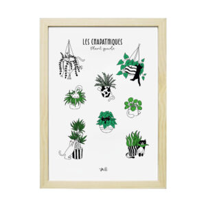 Affiche Chapathiques - Plant Guide