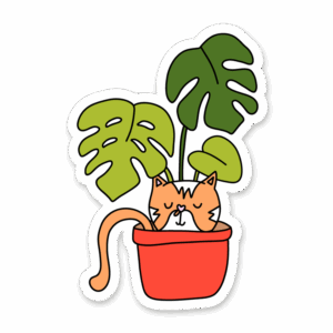 Sticker Monstera & Chat