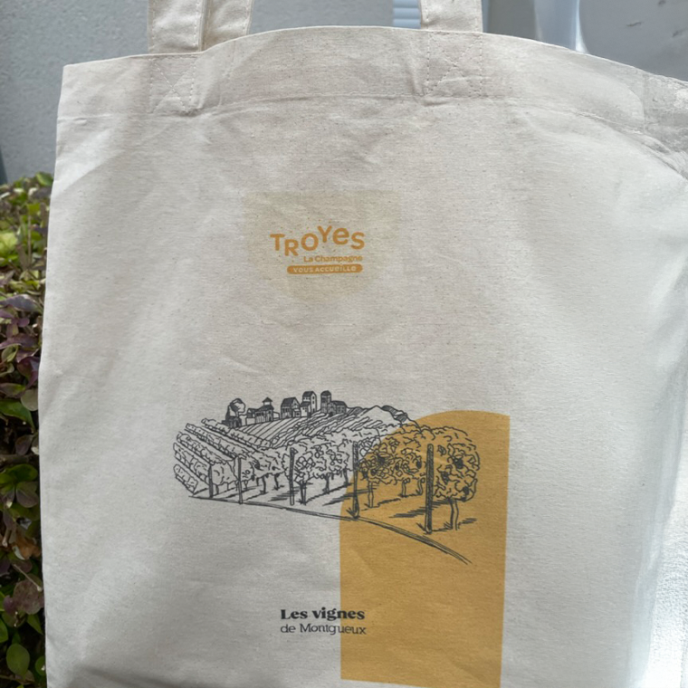 Troyes la Champagne vous accueille